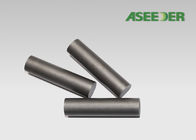 API Tungsten Carbide Thanh chống rung với ren trong